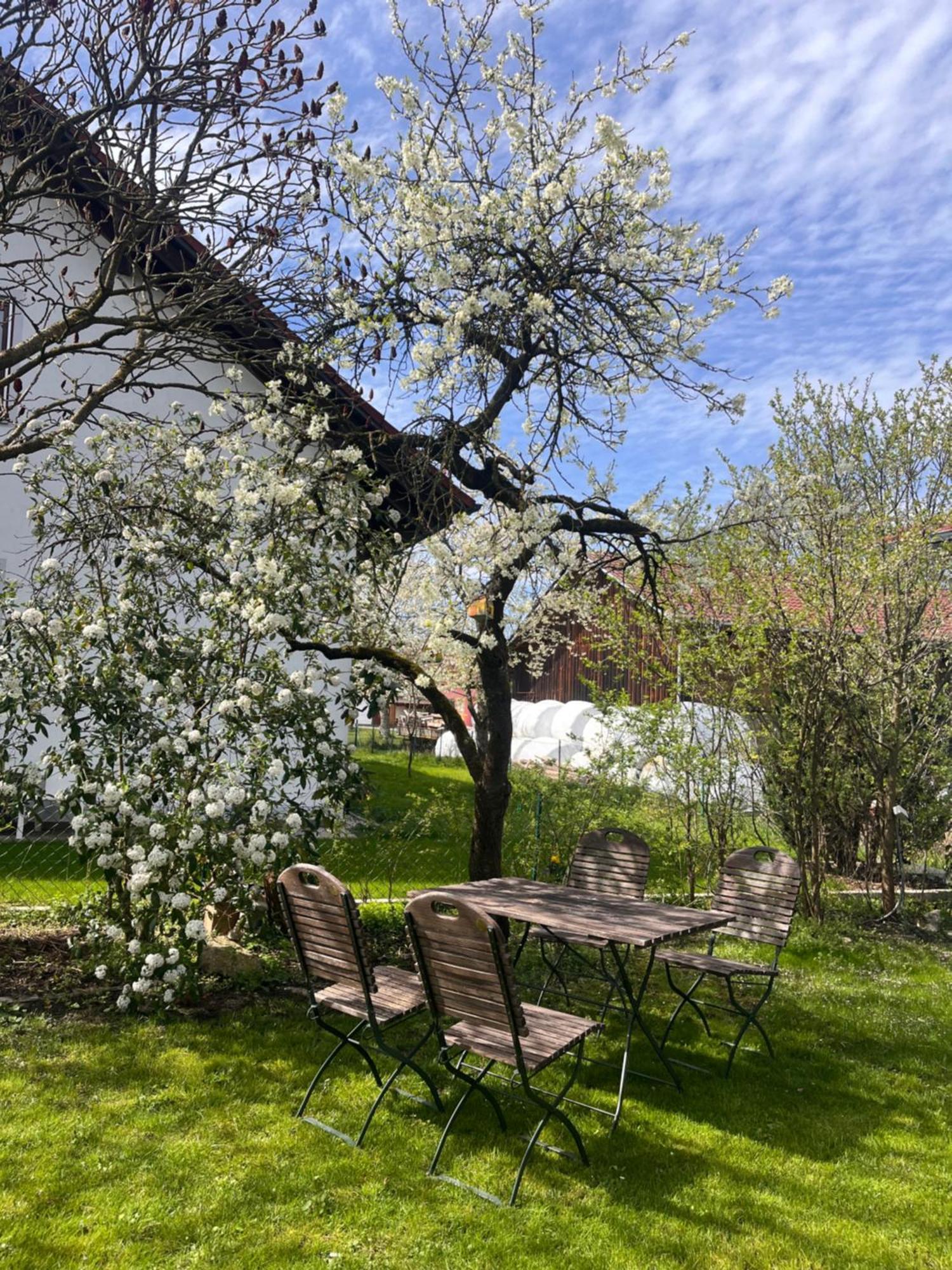 Zimmer Zum Wohlfuehlen Eching  Exterior photo
